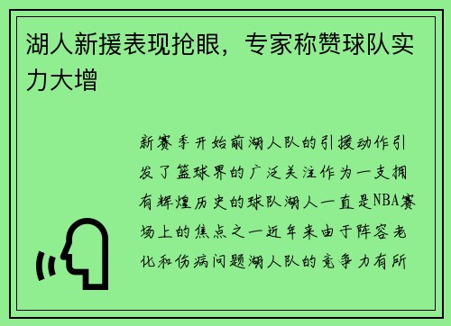 湖人新援表现抢眼，专家称赞球队实力大增