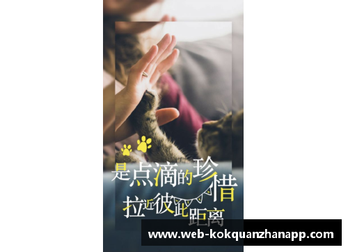 kok全站app官方app下载霍芬海姆遭遇重大失利，门兴格拉德巴赫大胜四球！ - 副本